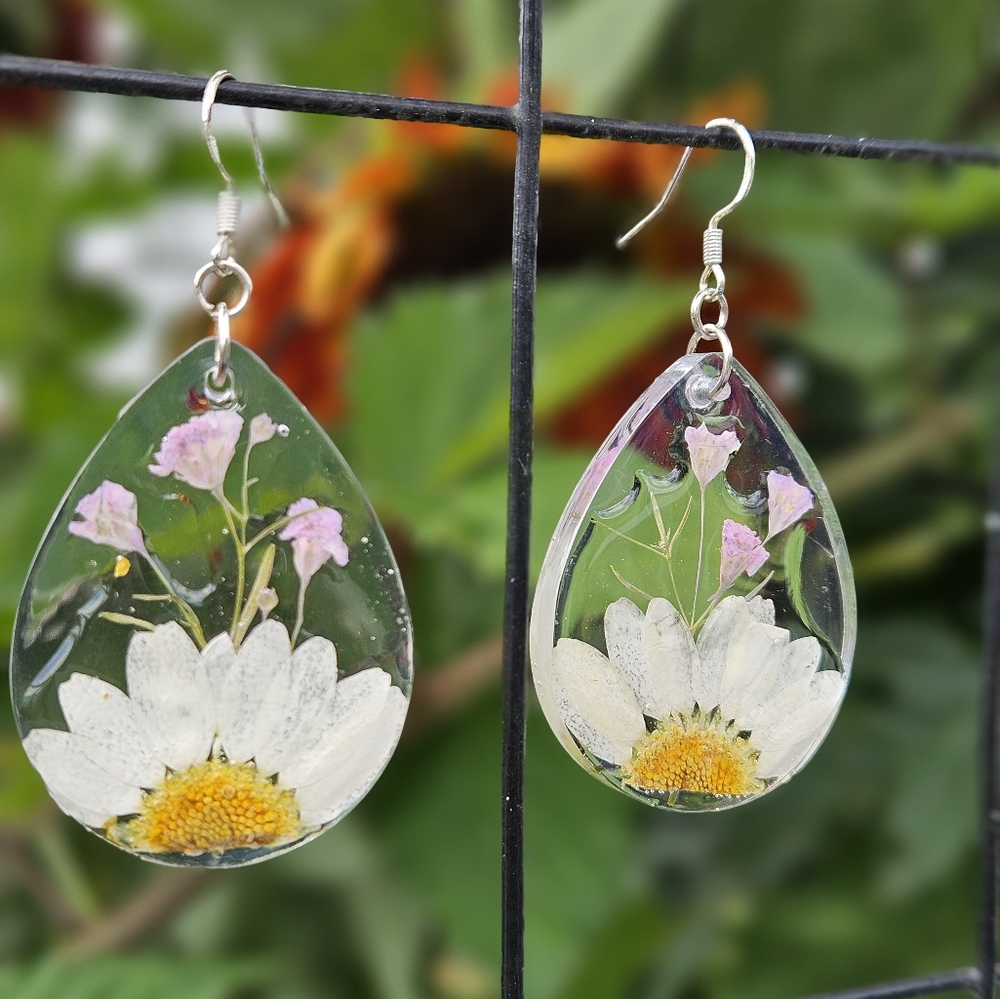 Real Daisy Flower Earrings